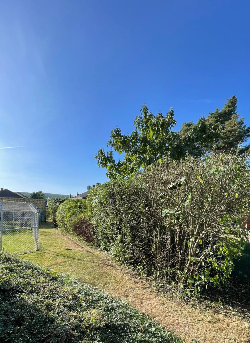 geschnittene Hecke von Dobler's Hausservice